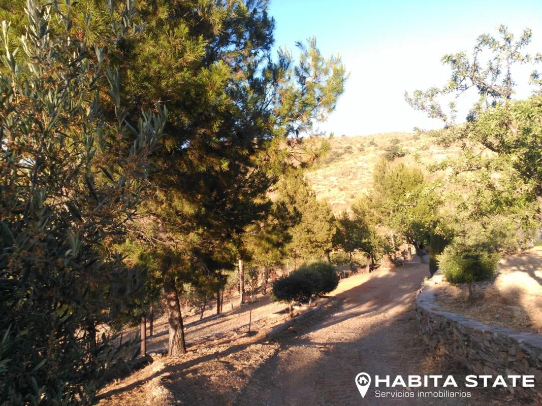 Land for sale in Benizalon, Almería photo 1