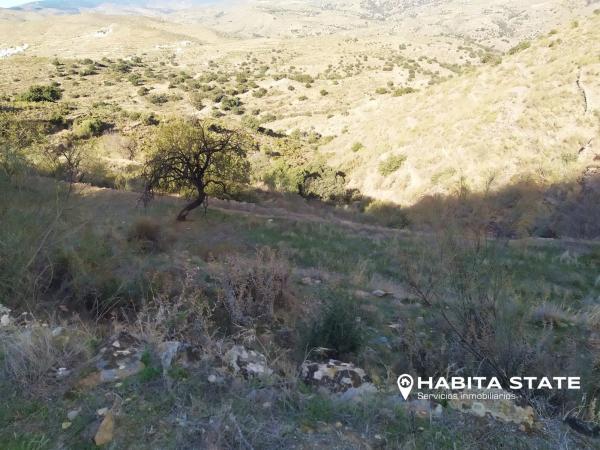Terreno en Paraje de Cerezos s/n photo 1