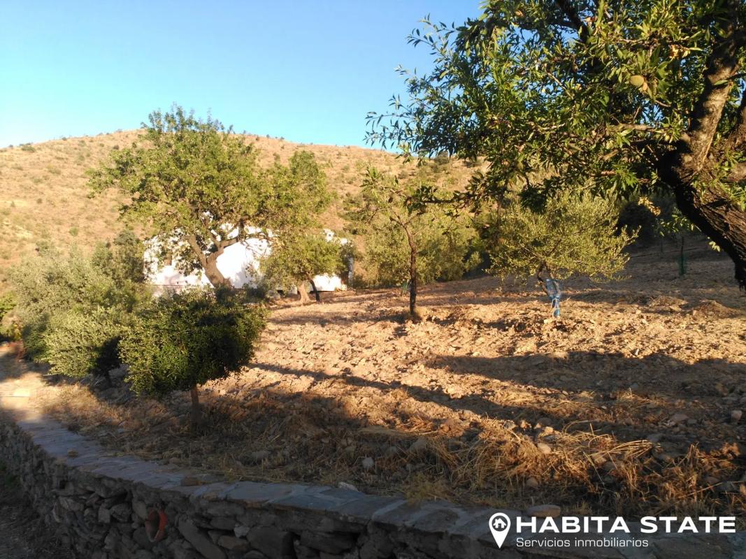 Land for sale in Benizalon, Almería photo 3