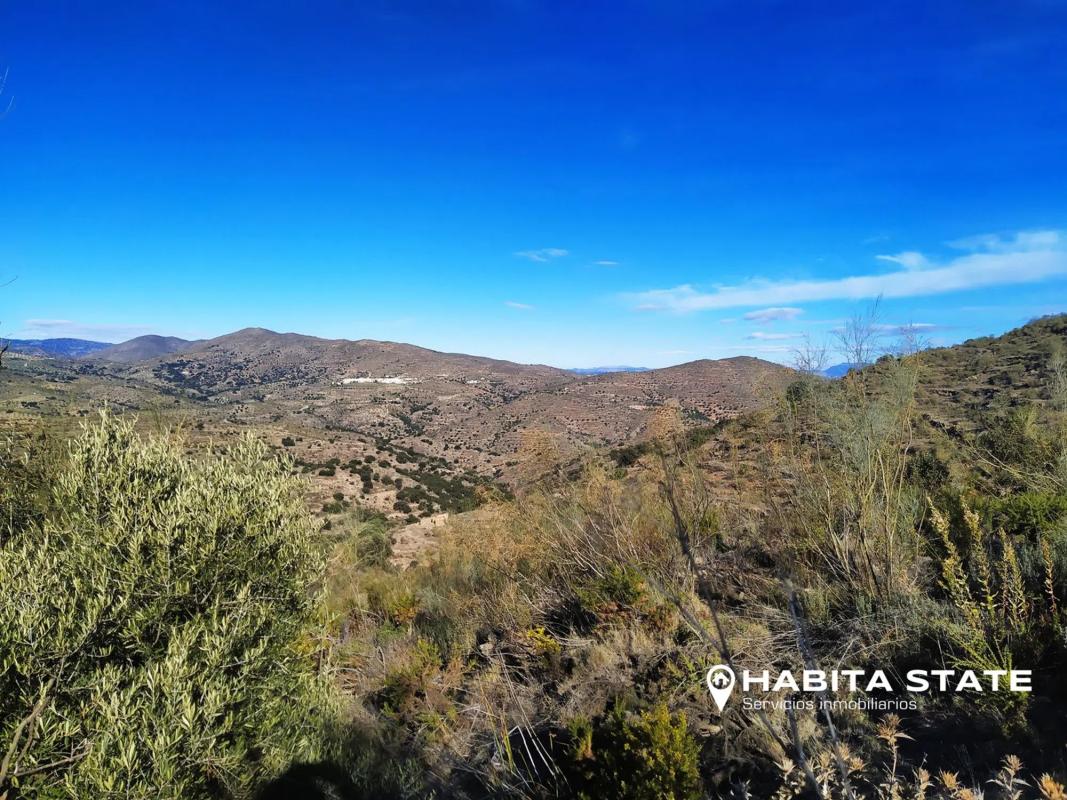 Land for sale in Benizalon, Almería photo 2
