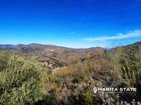 Terreno en Paraje de Cerezos s/n thumbnail 1