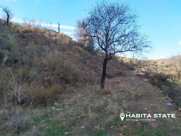 Terreno en Paraje de Cerezos s/n thumbnail 2