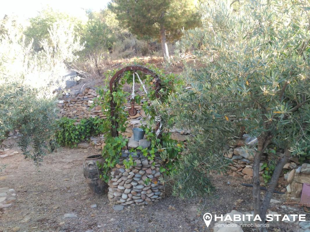 Land for sale in Benizalon, Almería photo 5