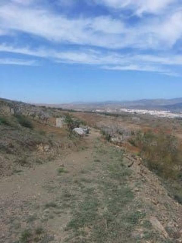 Terreno en venta en Fiñana, Almería photo 5