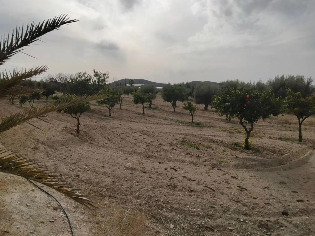 Terreno en venta en Uleila del Campo, Almería photo 5