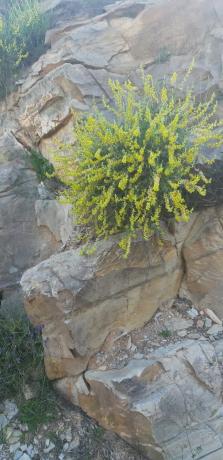 Terreno en rambla del Marqués, km 9 thumbnail 1