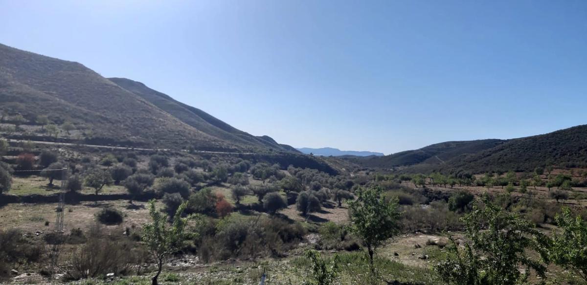 Działka na sprzedaż w Tahal, Almería photo 5