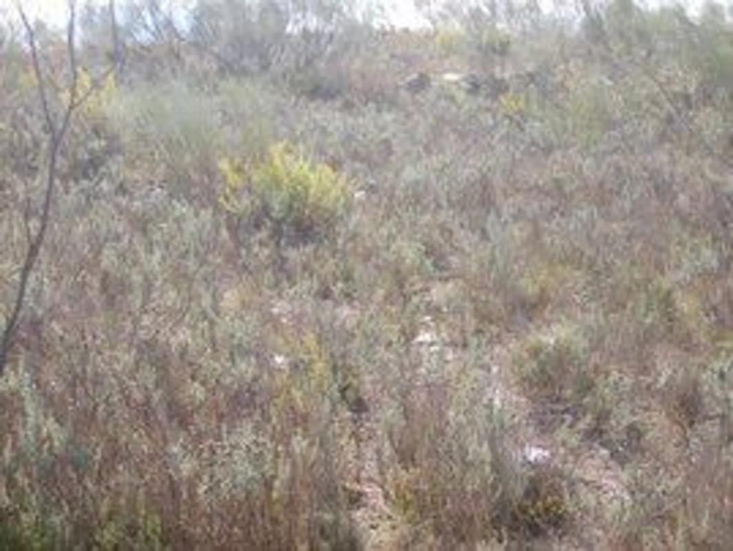 Terreno en venta en Benitagla, Almería photo 1