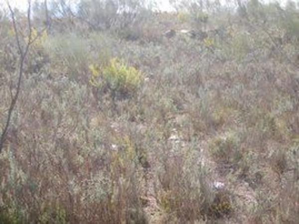 Terreno en camino De Cobdar, km 1 photo 1