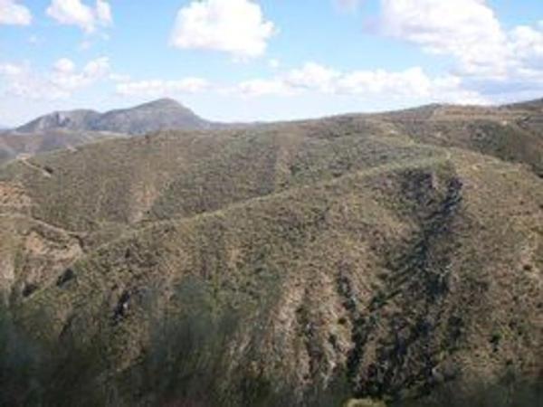 Terreno en camino De Cobdar, km 1 thumbnail 1