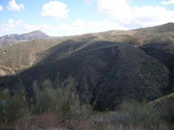 Terreno en camino De Cobdar, km 1 thumbnail 2