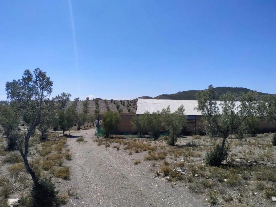 Land for sale in Gergal, Almería photo 3