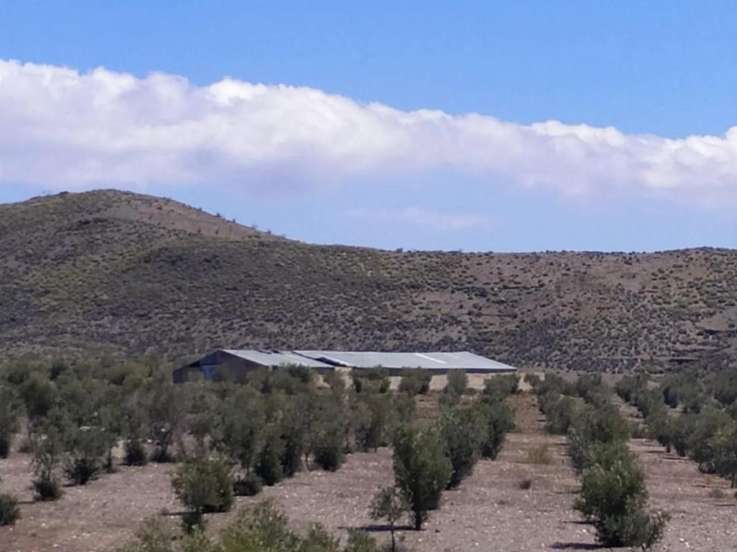 Land for sale in Gergal, Almería photo 5