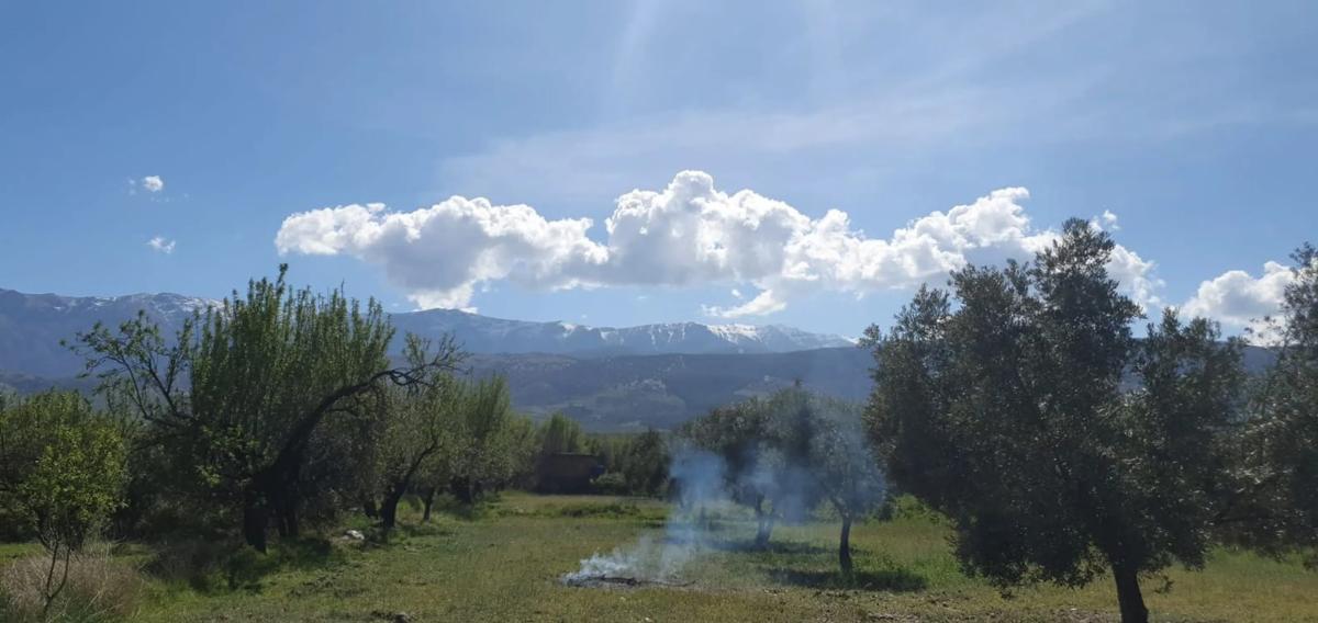 Terreno en venta en Fiñana, Almería photo 2
