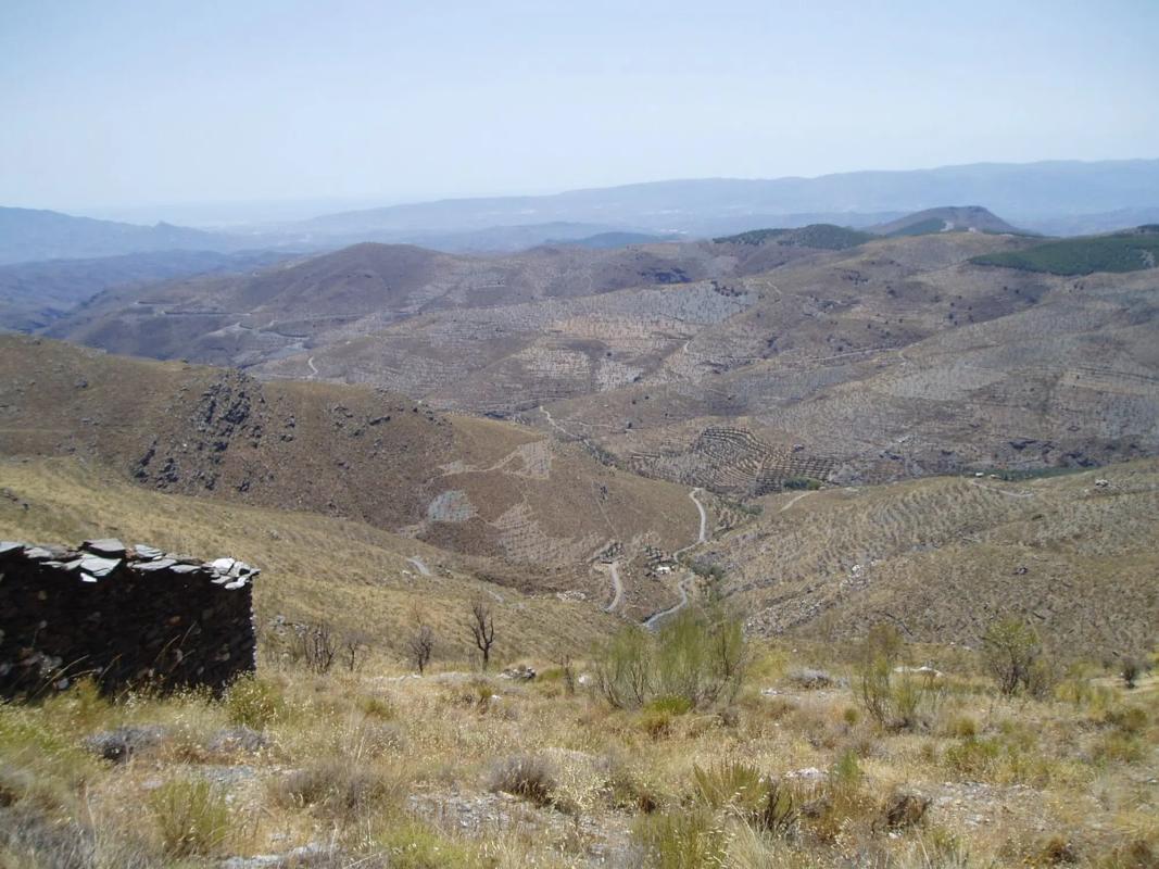 Terreno en venta en Olula de Castro, Almería photo 4