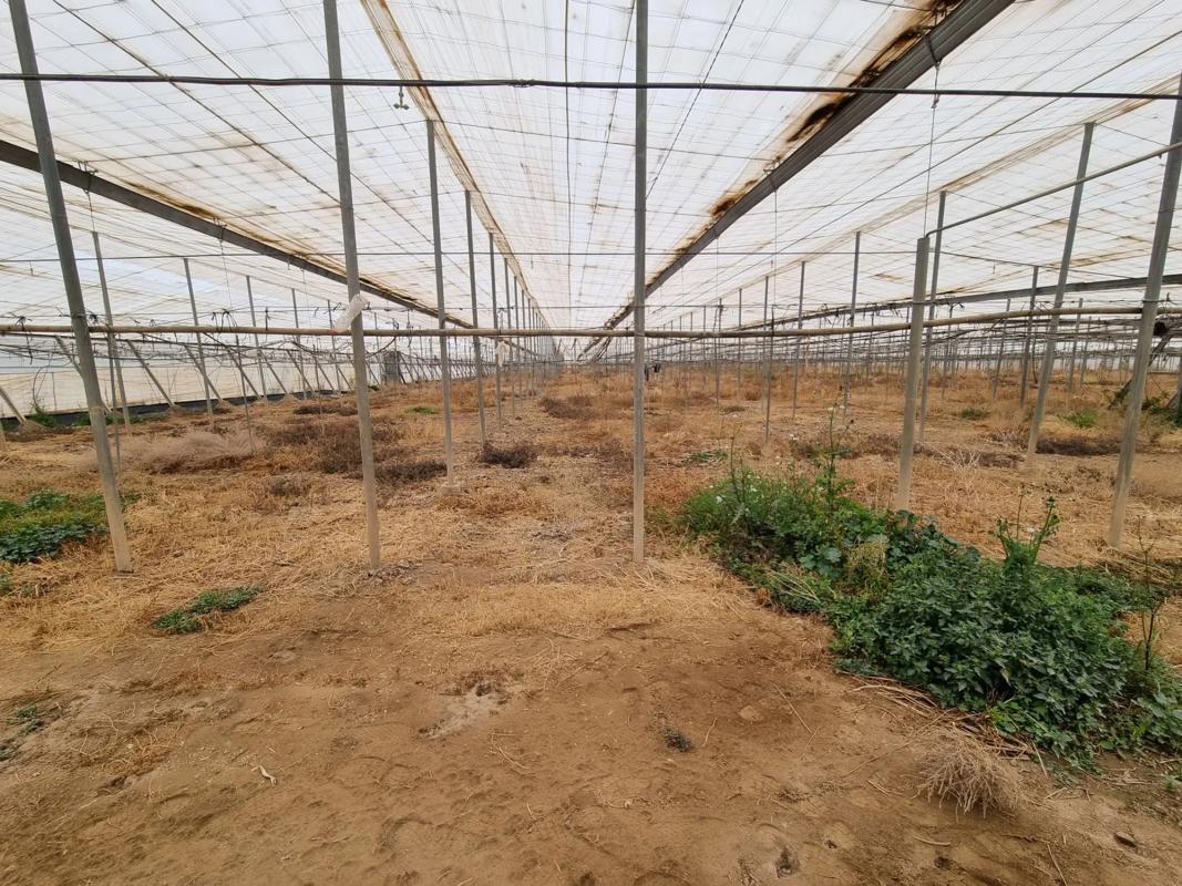 Terreno en venta en Uleila del Campo, Almería photo 2
