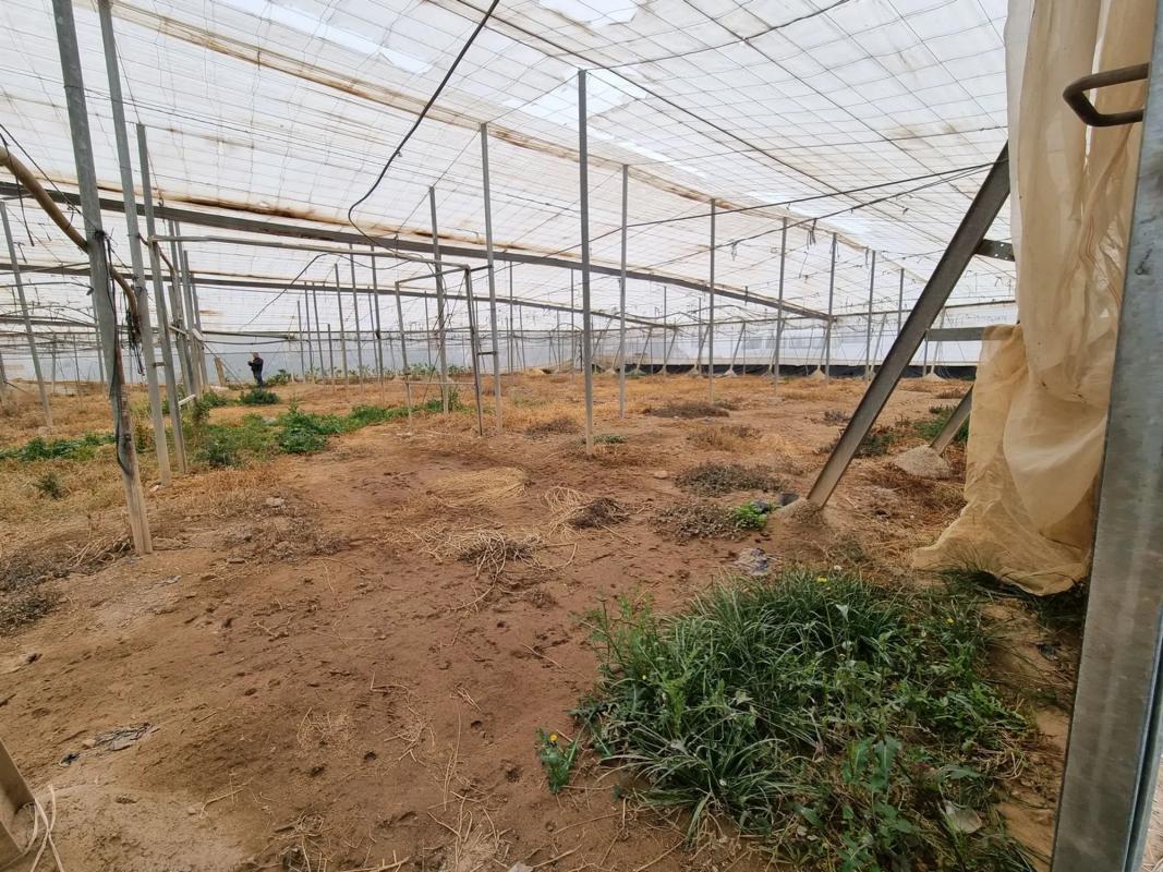 Terreno en venta en Uleila del Campo, Almería photo 3