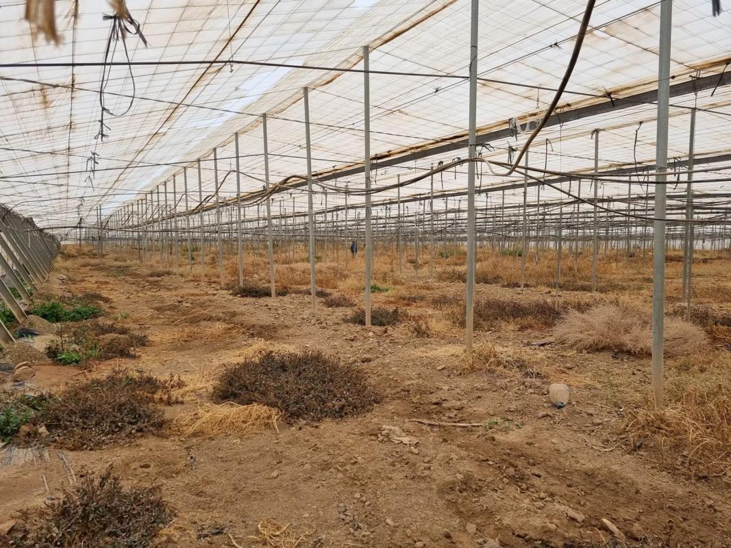 Terreno en venta en Uleila del Campo, Almería photo 4