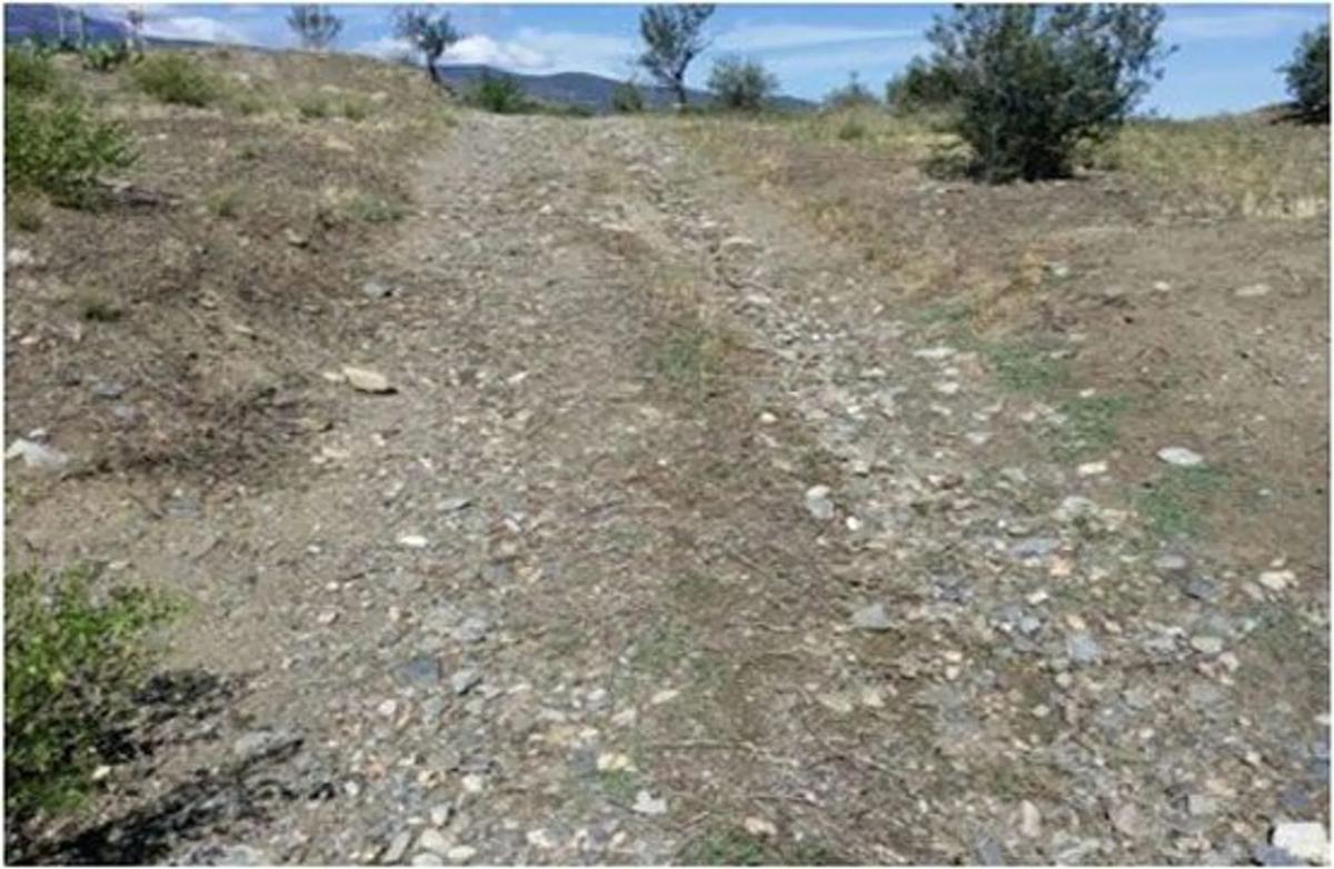 Terreno en venta en Abla, Almería photo 4
