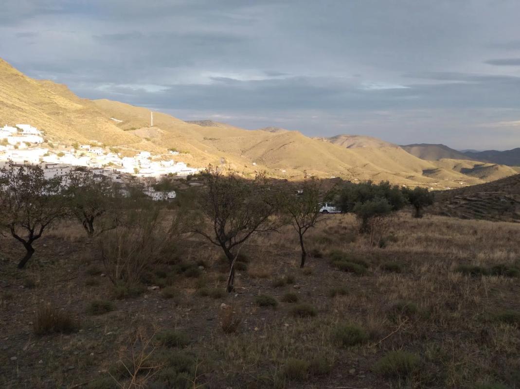Terreno en venta en Senés, Almería photo 3