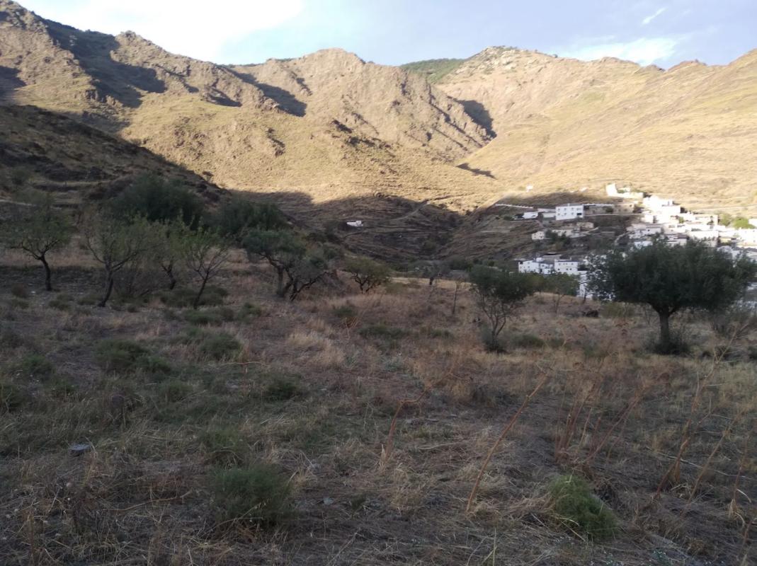 Terreno en venta en Senés, Almería photo 5