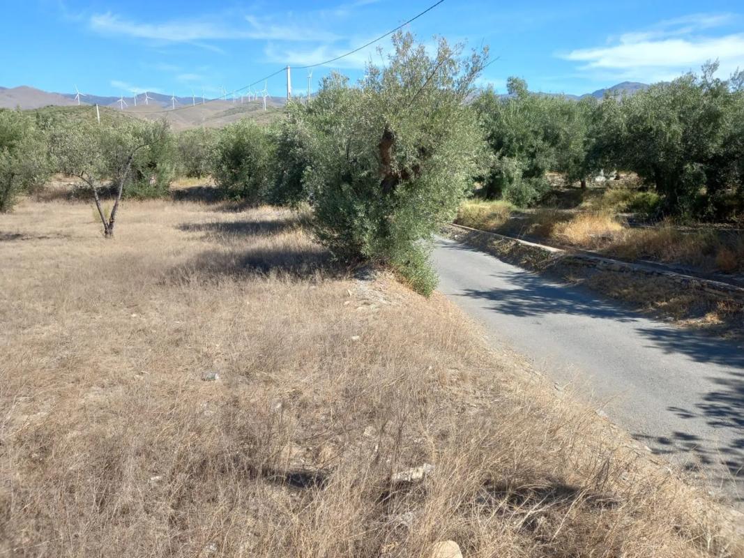 Terreno en venta en Las Tres Villas, Almería photo 4