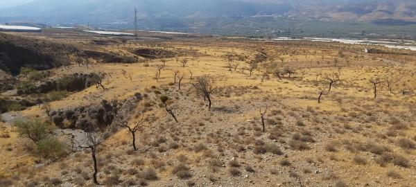 Terreno en Paraje Las Lomillas s/n photo 1