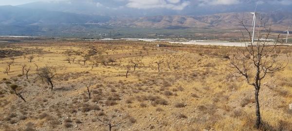 Terreno en Paraje Las Lomillas s/n photo 2