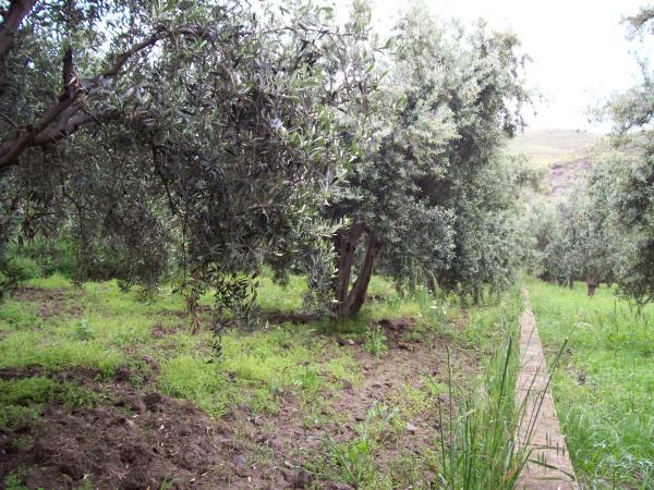 Terreno en via 1, 100 photo 1