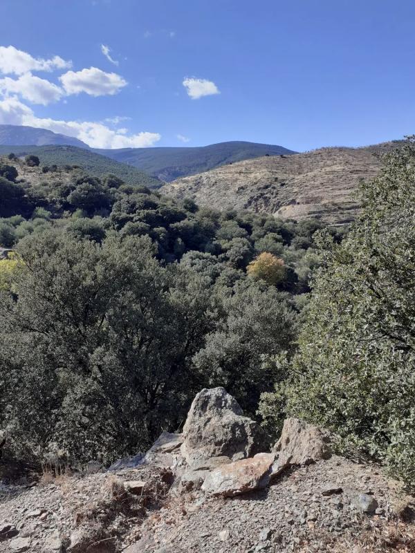 Terreno en venta en Abrucena, Almería photo 2