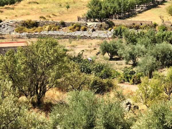 Terreno en Al-3404 s/n thumbnail 2