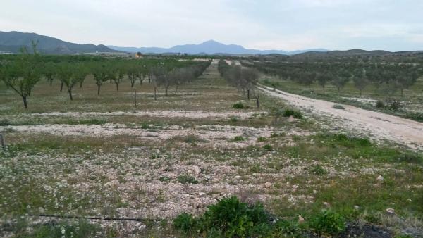 Terreno en camino de los Americanos s/n sn photo 1