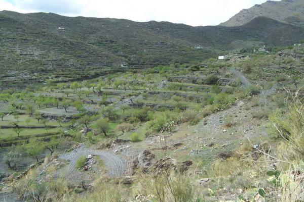 Terreno en Al-4100 s/n photo 3