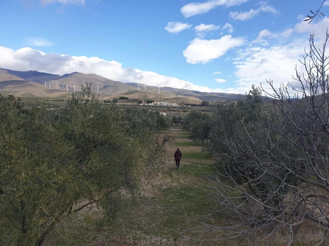 Terreno en venta en Las Tres Villas, Almería photo 3