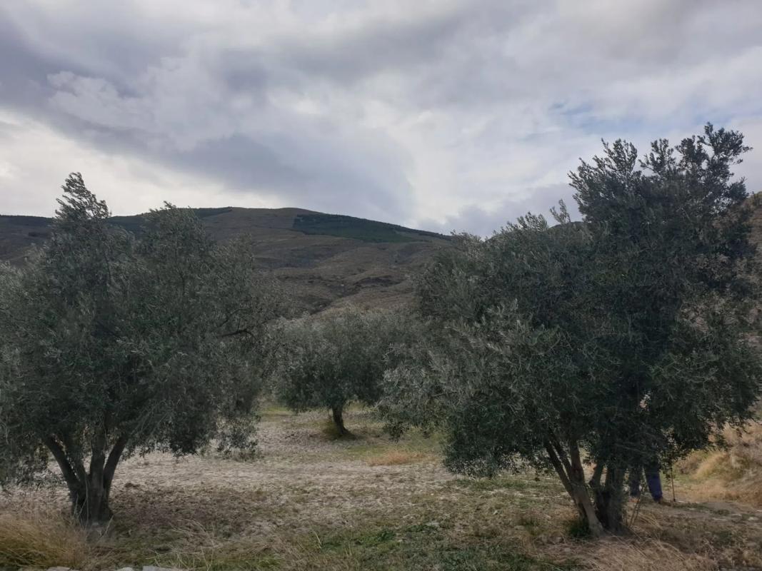 Terreno en venta en Las Tres Villas, Almería photo 4