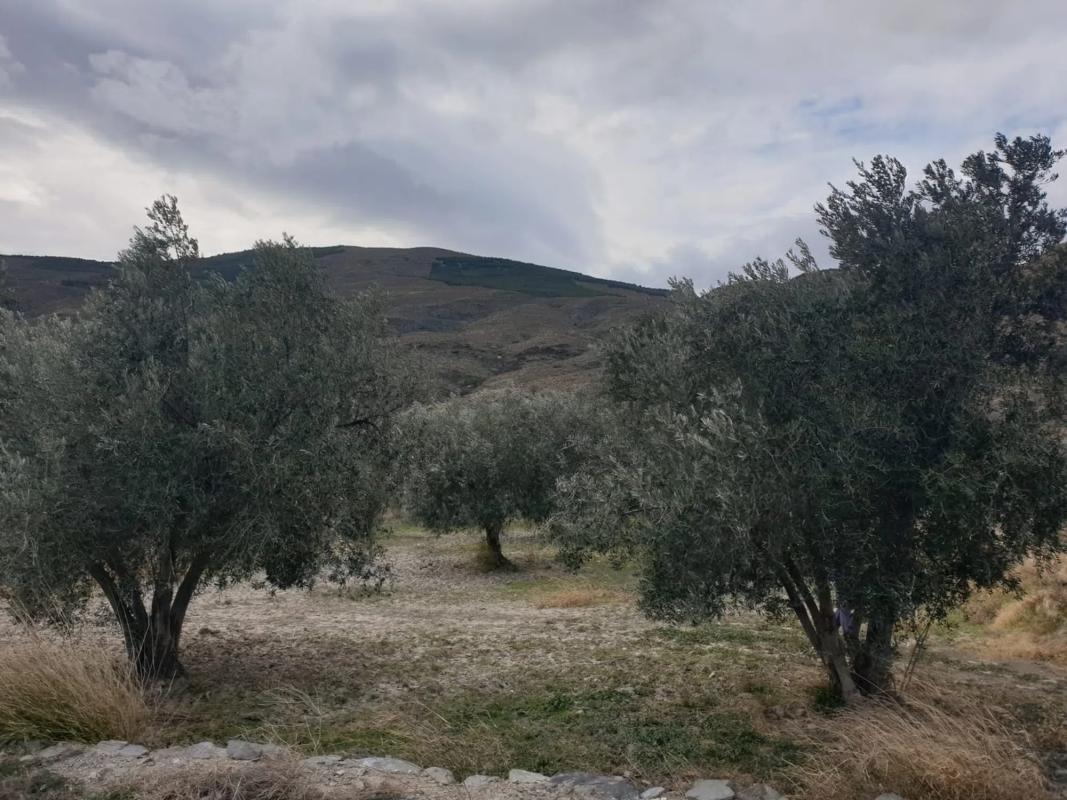 Terreno en venta en Las Tres Villas, Almería photo 5