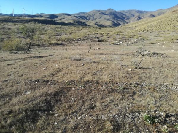 Terreno en Paraje "La Pileta " s/n sn thumbnail 1