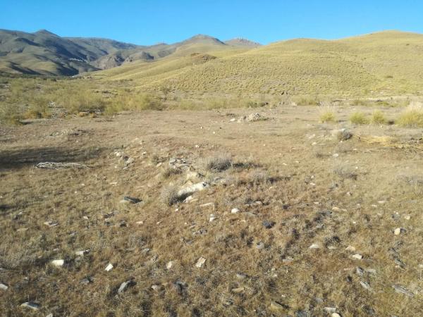 Terreno en Paraje "La Pileta " s/n sn thumbnail 2