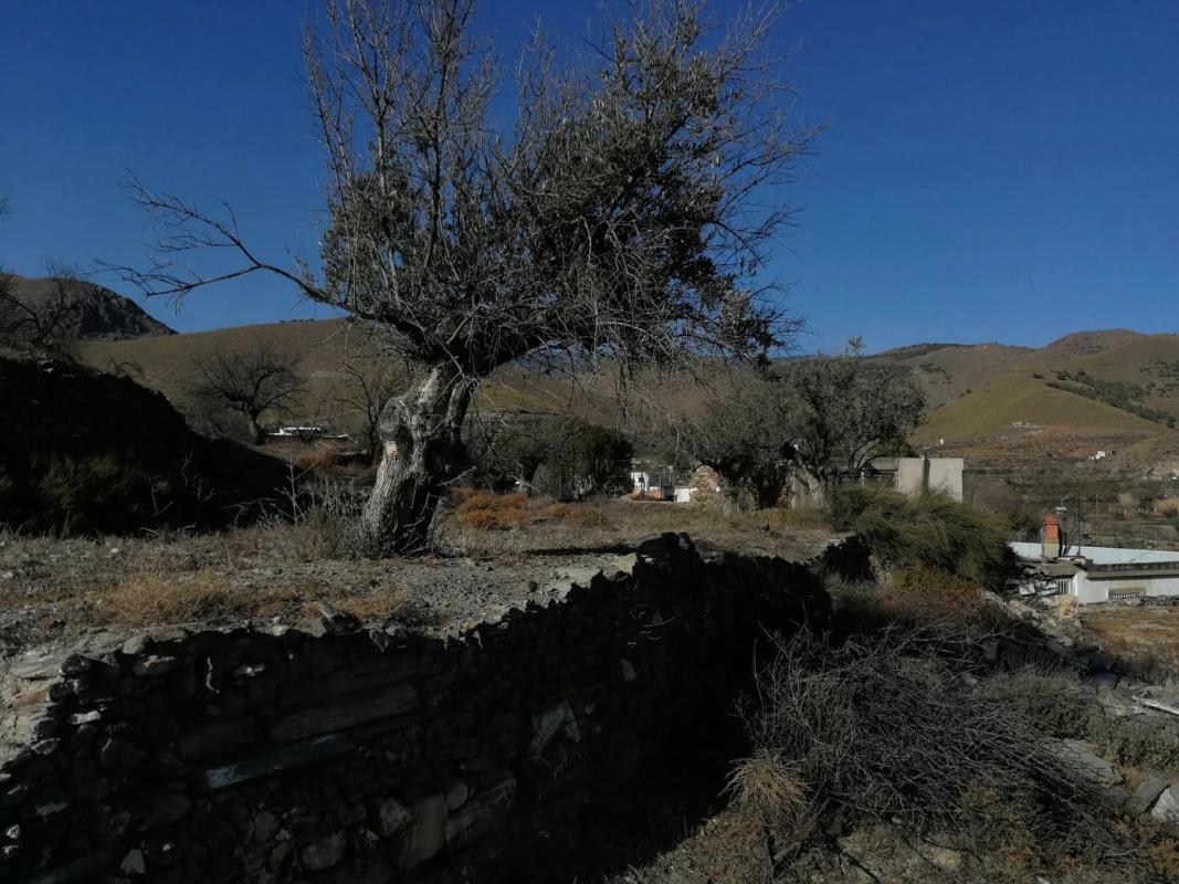 Land for sale in Gergal, Almería photo 4