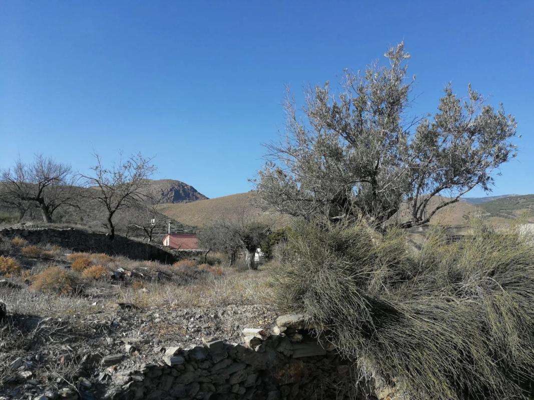 Land for sale in Gergal, Almería photo 5