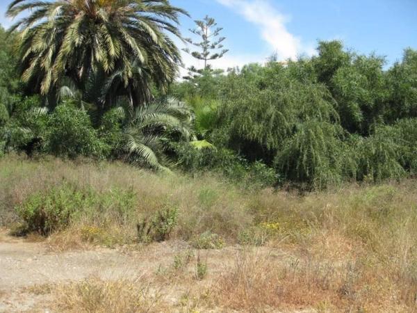 Terreno en calle Almeria thumbnail 1