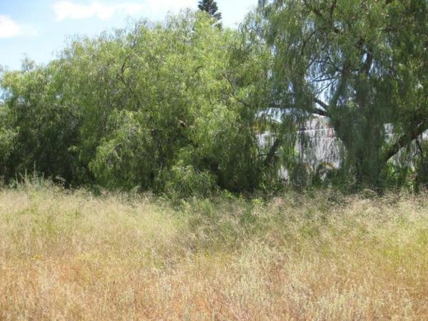 Terreno en calle Almeria photo 3
