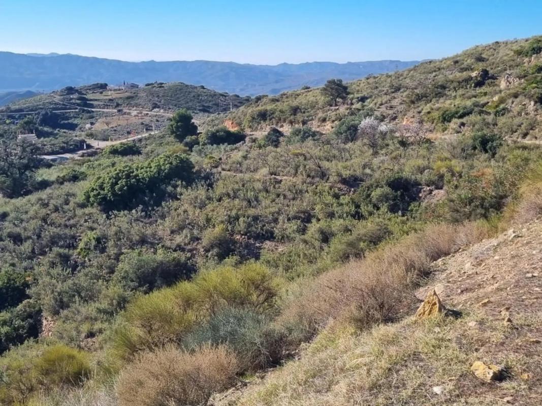 Działka na sprzedaż w Bédar, Almería photo 2