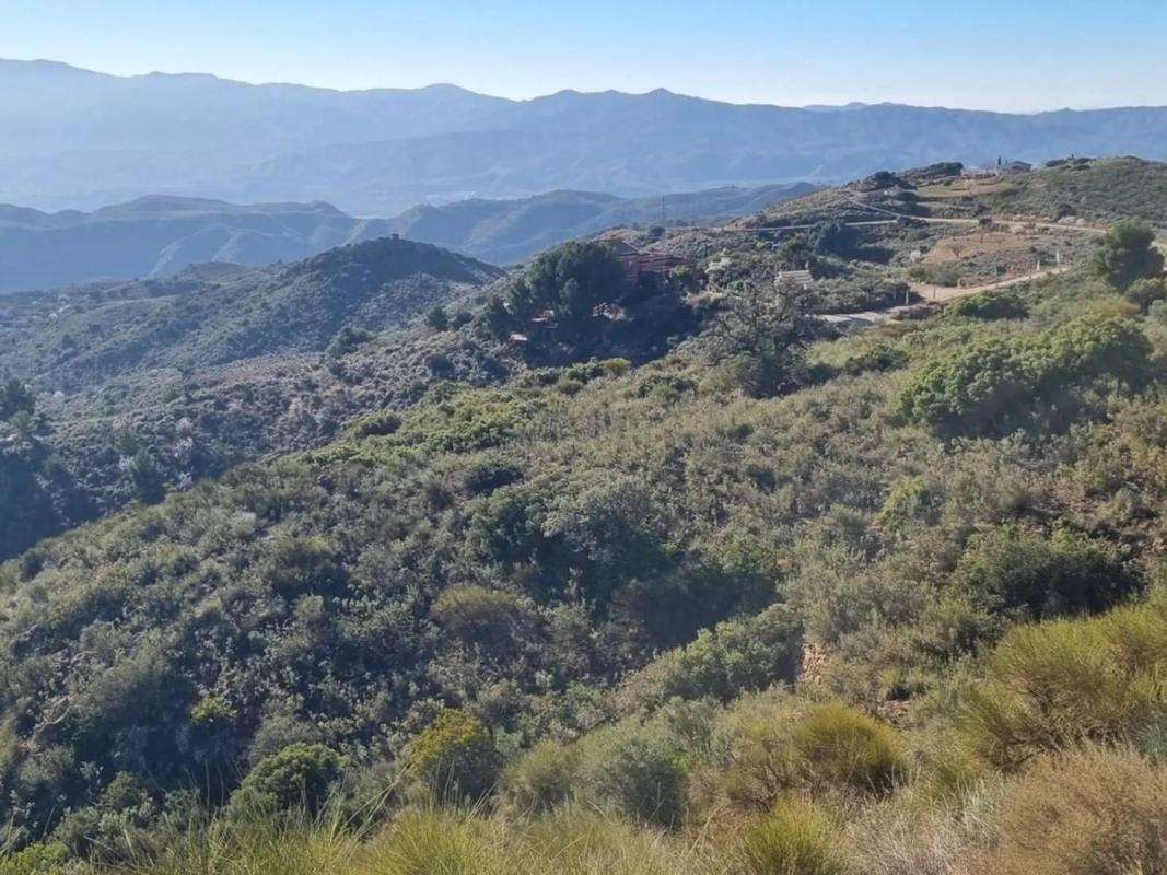 Działka na sprzedaż w Bédar, Almería photo 5