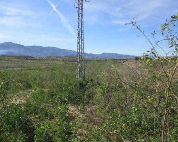 Terreno en Paraje Cañada del Palmar photo 2