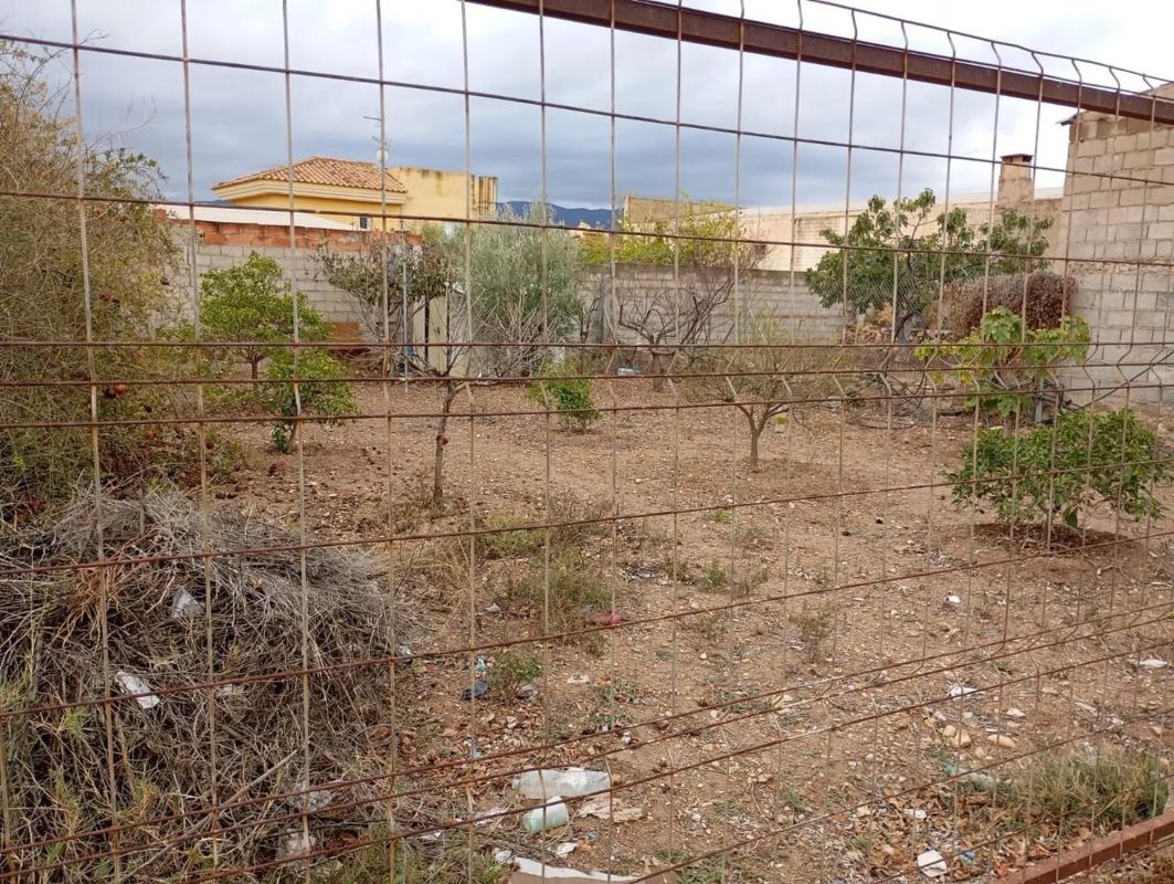 Land for sale in Los Gallardos, Almería photo 1