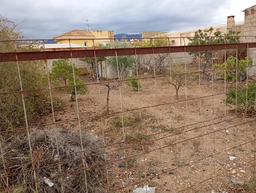 Land for sale in Los Gallardos, Almería photo 3