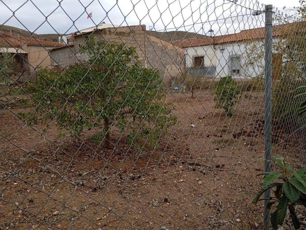 Land for sale in Los Gallardos, Almería photo 4