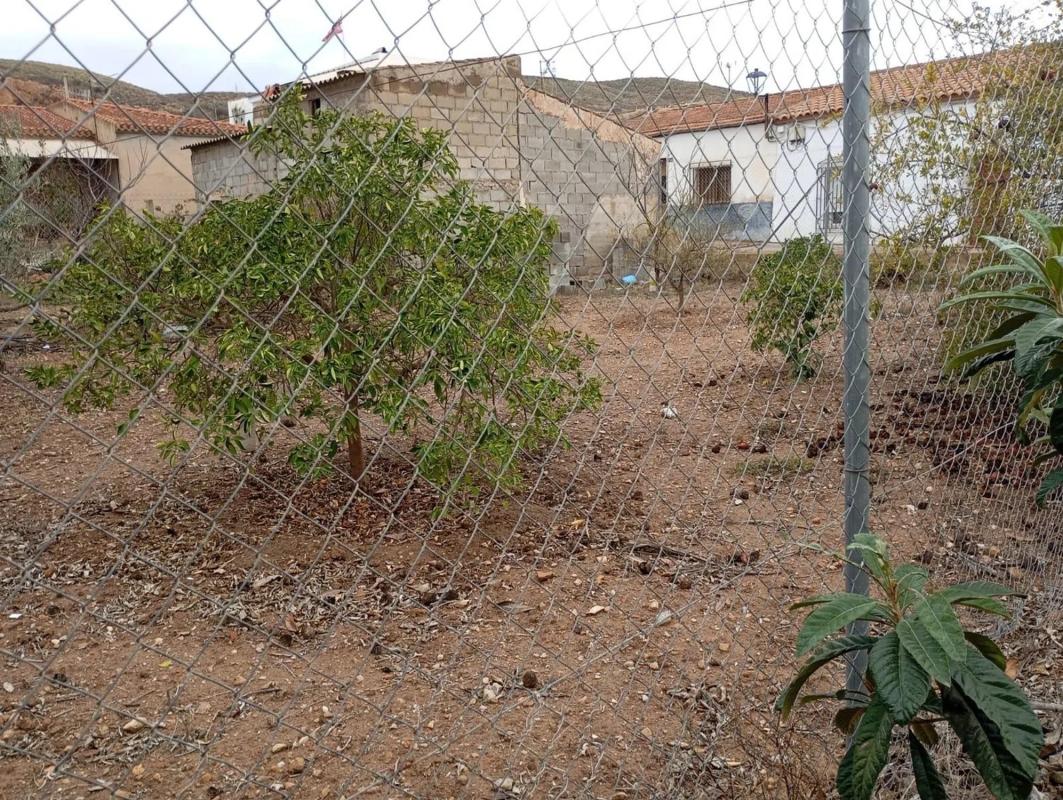 Land for sale in Los Gallardos, Almería photo 5