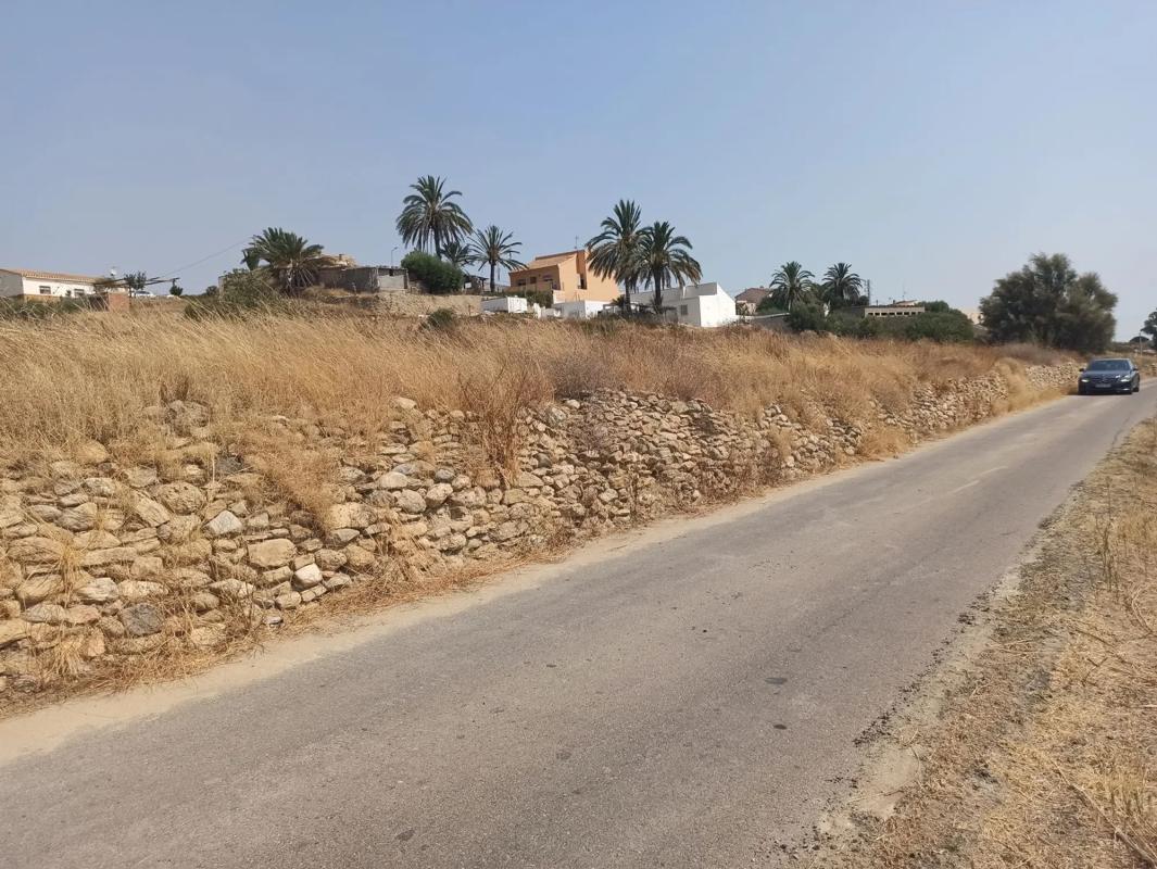 Land for sale in Los Gallardos, Almería photo 5
